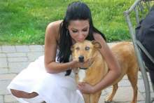 SweetEmotion SweetEmotion