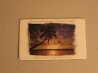 suzybilly819 suzybilly819