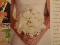 device1334 device1334