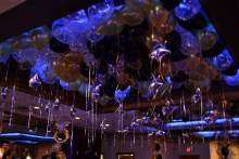 reneejoey11 reneejoey11