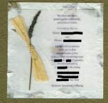 denise2006 denise2006