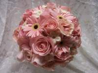 LoveBug1124 LoveBug1124