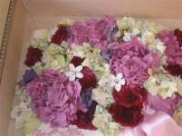 glinda_goodwitch glinda_goodwitch