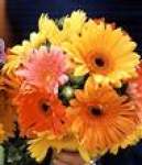 CHRISTINEB CHRISTINEB