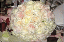 JenJim7769 JenJim7769