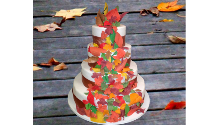 Jerri's Custom Cakery