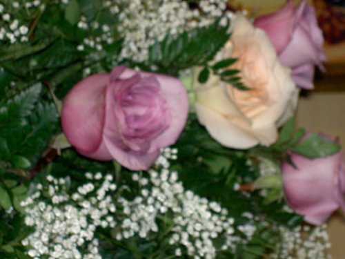 1052755_2.jpg