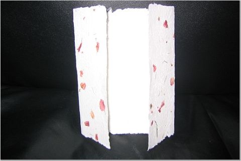 1065822_3.jpg