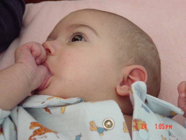 1097531_2.jpg