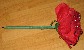 1107891_1.jpg