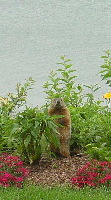 1356924_1.jpg