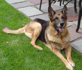 1514850_1.jpg