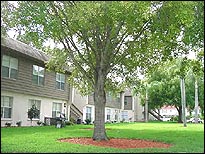 1624112_1.jpg
