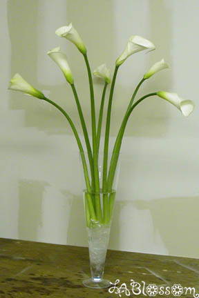 1639747_1.jpg