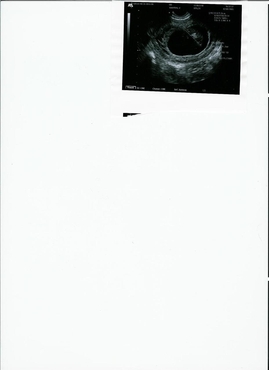 1987173_1.jpg
