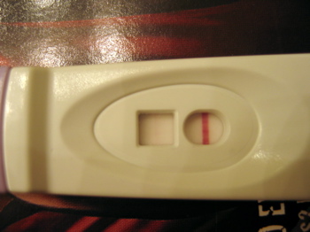 2294948_1.jpg