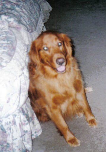 2404996_1.jpg