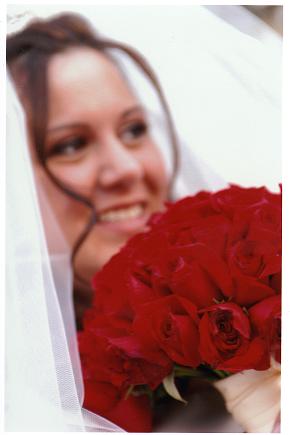 2464327_1.jpg