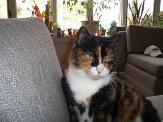 2525829_2.jpg