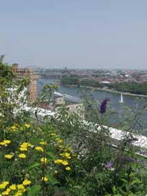2610194_1.jpg