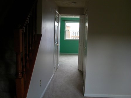 2686601_1.jpg