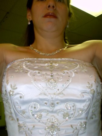 2913992_3.jpg