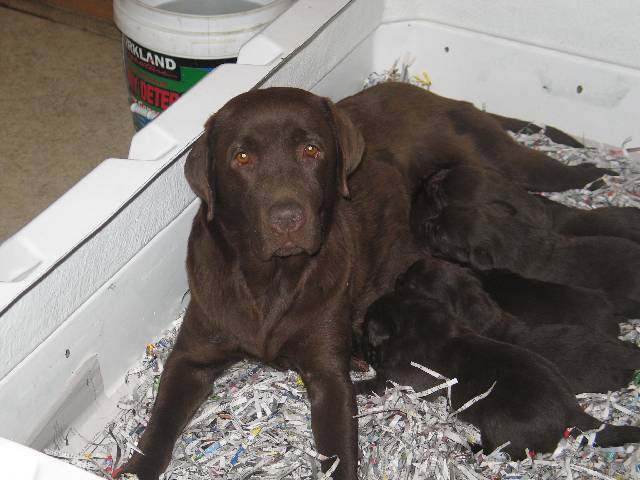 3127747_1.jpg