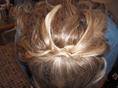 3368929_2.jpg