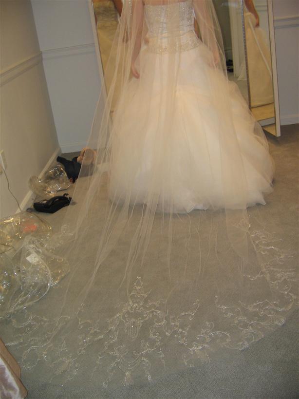 3415097_1.jpg