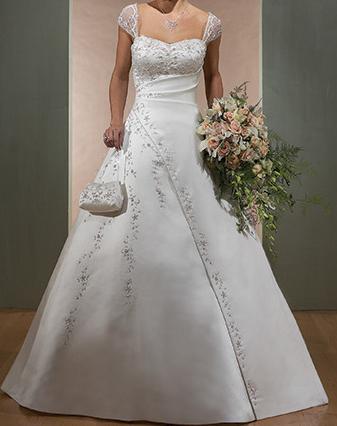 3590608_1.jpg