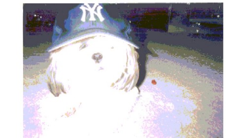3840950_1.jpg