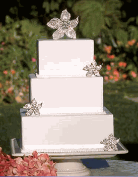 4073786_1.gif