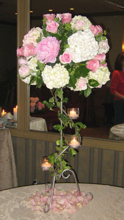 4553673_1.jpg