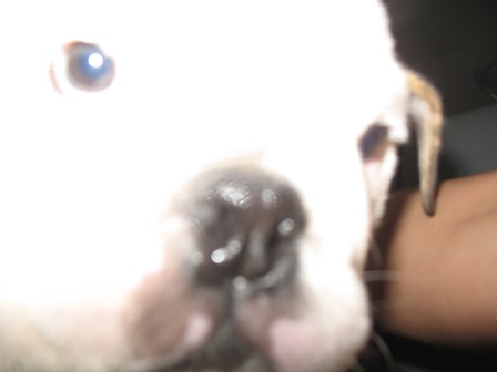 4851419_1.jpg