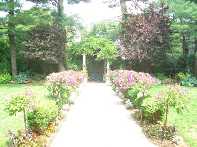 4856428_4.jpg