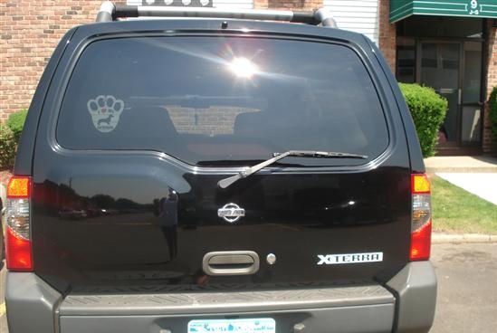 4913604_1.jpg