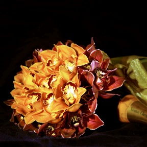 5013211_1.jpg