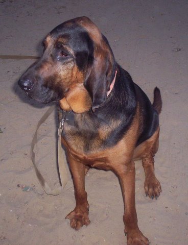 5063973_1.jpg