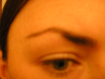 5329695_1.jpg
