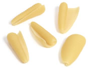 5375478_1.jpg