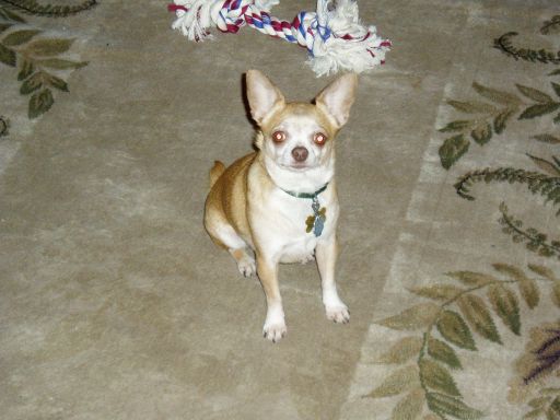 5380910_2.jpg
