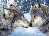 5628315_1.gif