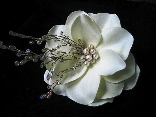 5875119_2.jpg