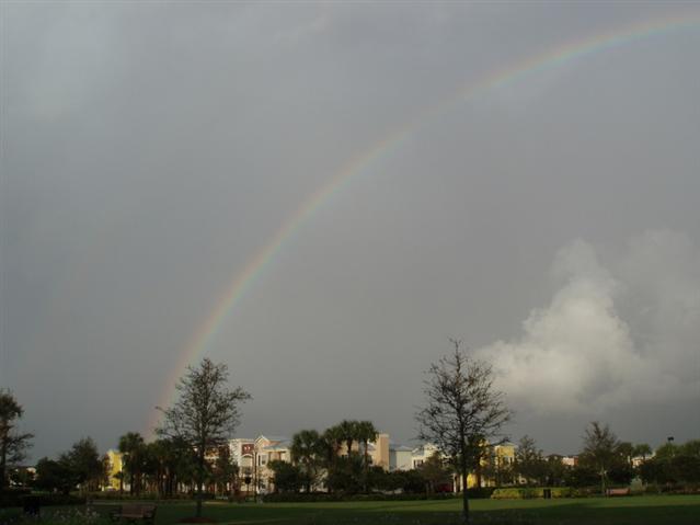 5941716_3.jpg