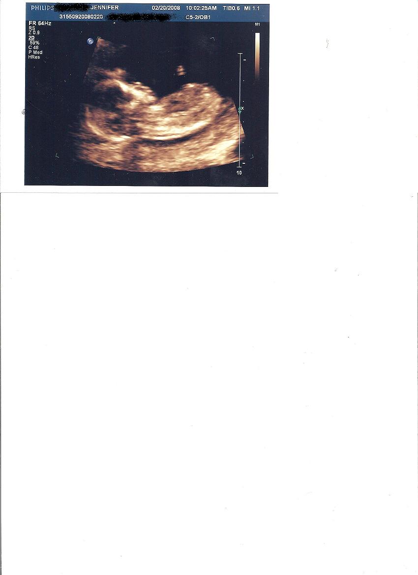 5981288_1.jpg
