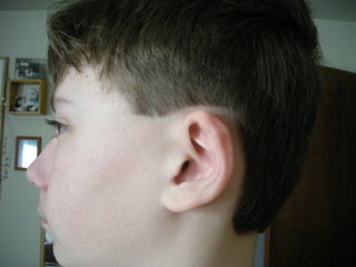 6006651_1.jpg