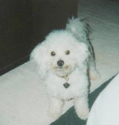 625442_1.jpg