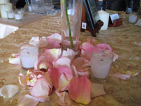 6341815_3.jpg