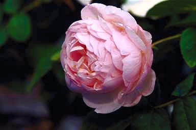 6540067_1.jpg