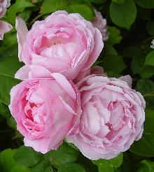 6540067_2.jpg